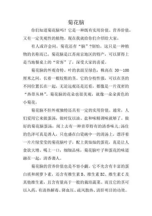 菊花脑(部编版五年级优秀作文)