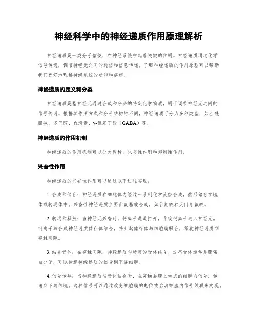神经科学中的神经递质作用原理解析