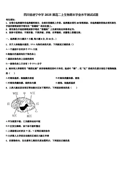 四川省遂宁中学2025届高二上生物期末学业水平测试试题含解析