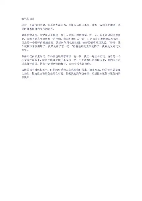 淘气包弟弟