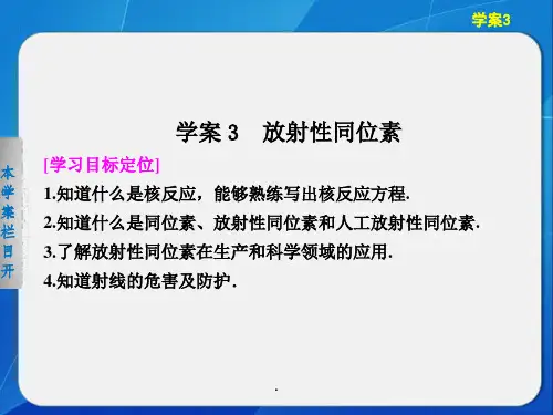  放射性同位素 ppt课件