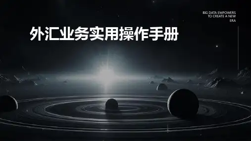 外汇业务实用操作手册