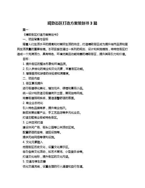 精致街区打造方案策划书3篇
