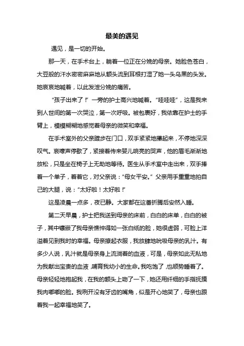 中考作文：最美的遇见作文800字