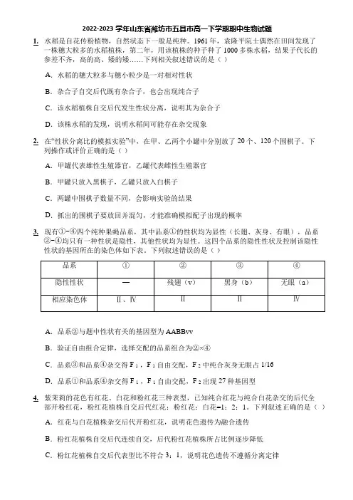 2022-2023学年山东省潍坊市五县市高一下学期期中生物试题