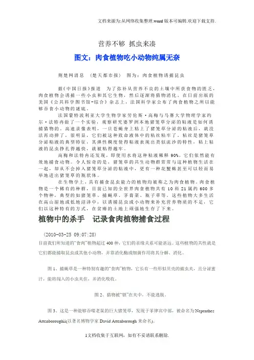 吃动物植物
