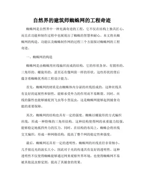 自然界的建筑师蜘蛛网的工程奇迹