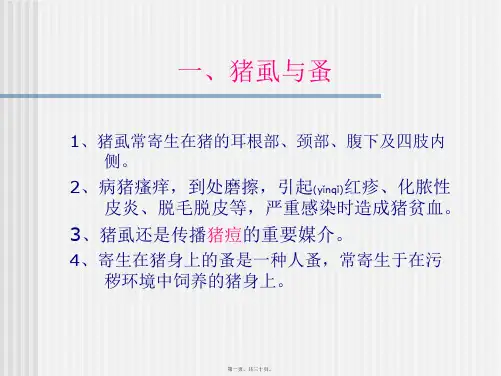 医学专题猪的常见皮肤病
