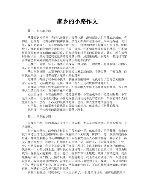 家乡的小路作文