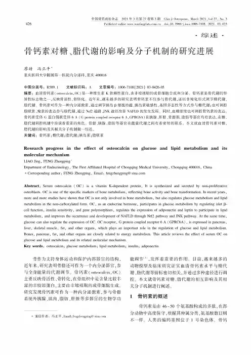 骨钙素对糖、脂代谢的影响及分子机制的研究进展