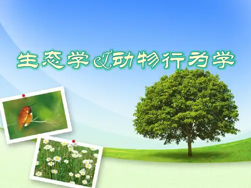 生态学※动物行为学