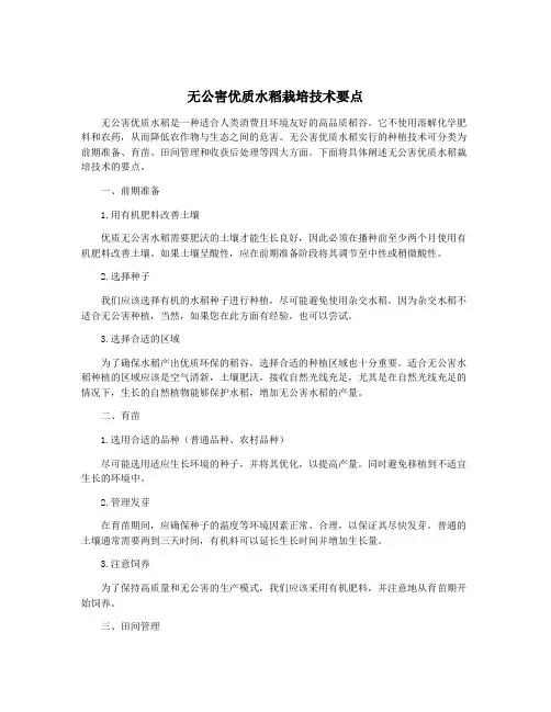 无公害优质水稻栽培技术要点