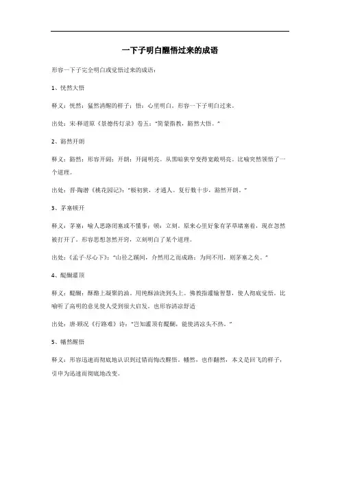 一下子明白醒悟过来的成语