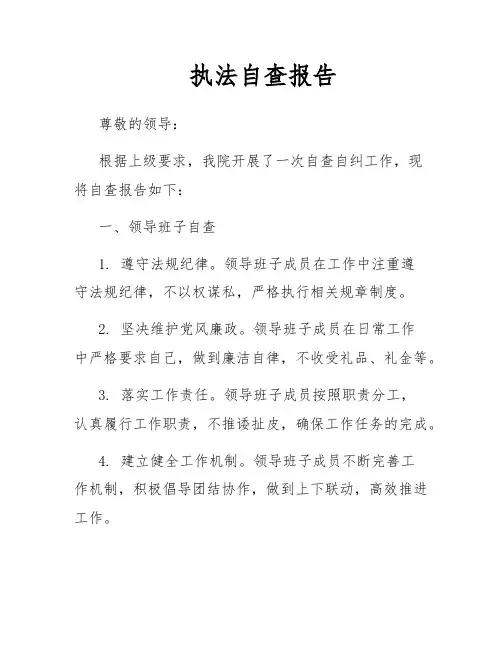 执法自查报告