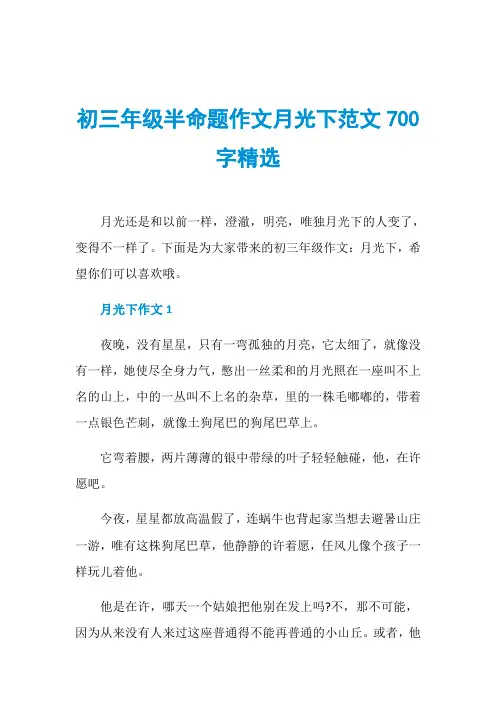 初三年级半命题作文月光下范文700字精选