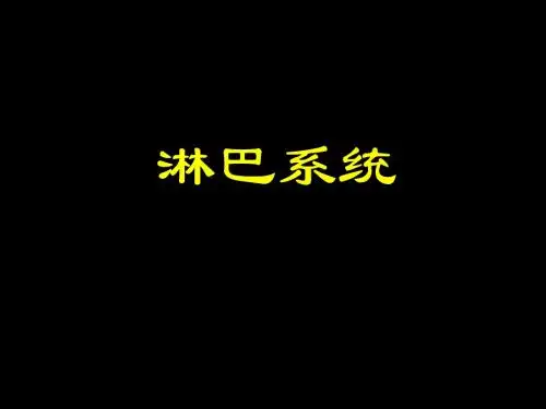 淋巴系统-PPT精品文档