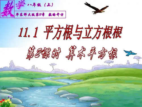 华师大版八年级上册11.1.2 算术平方根课件(共12张ppt)