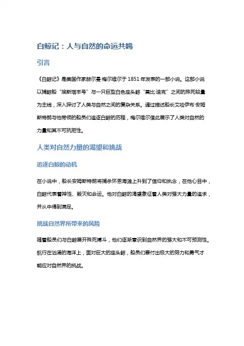 《白鲸记》：人与自然的命运共鸣