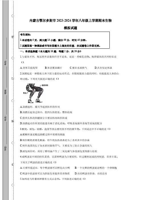 内蒙古鄂尔多斯市2023-2024学年八年级上册期末生物模拟试题(附答案)