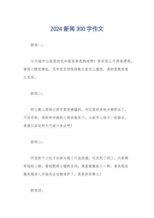 2024新闻300字作文
