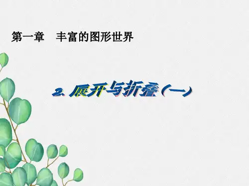 《展开与折叠》PPT课件 (公开课)2022年北师大版 (12)
