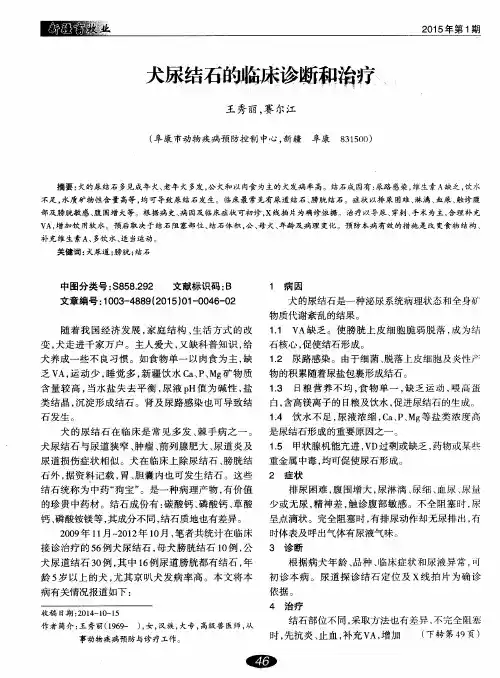 犬尿结石的临床诊断和治疗