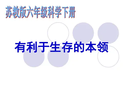 小学科学苏教版《有利于生存的本领》PPT教学课件1