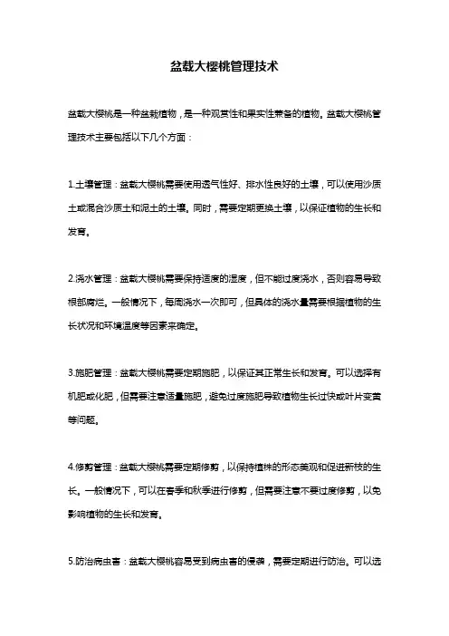 盆载大樱桃管理技术