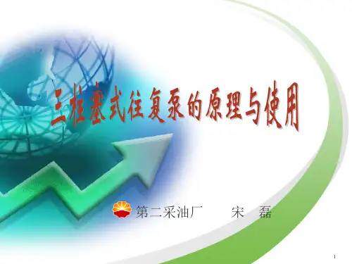 三柱塞式往复泵的原理与使用PPT幻灯片课件