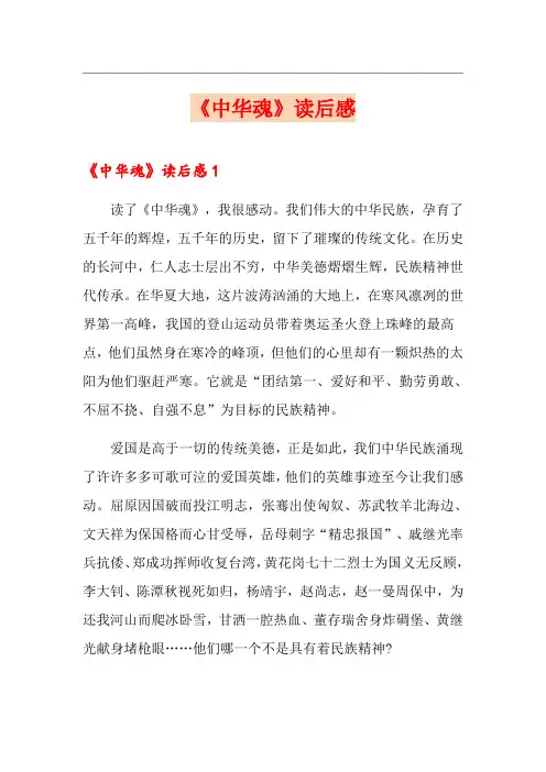 《中华魂》读后感