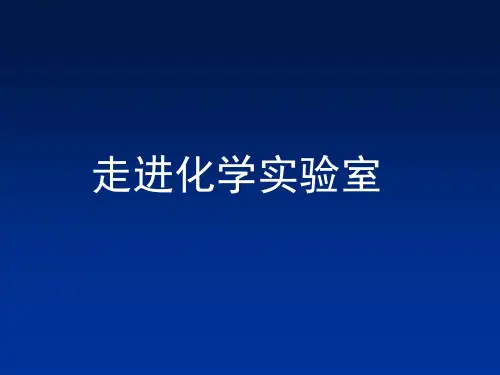 鲁教版初中化学九上 1.3  走进化学实验室  课件  (1)
