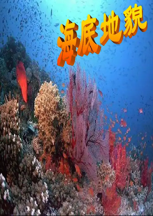 海底地貌
