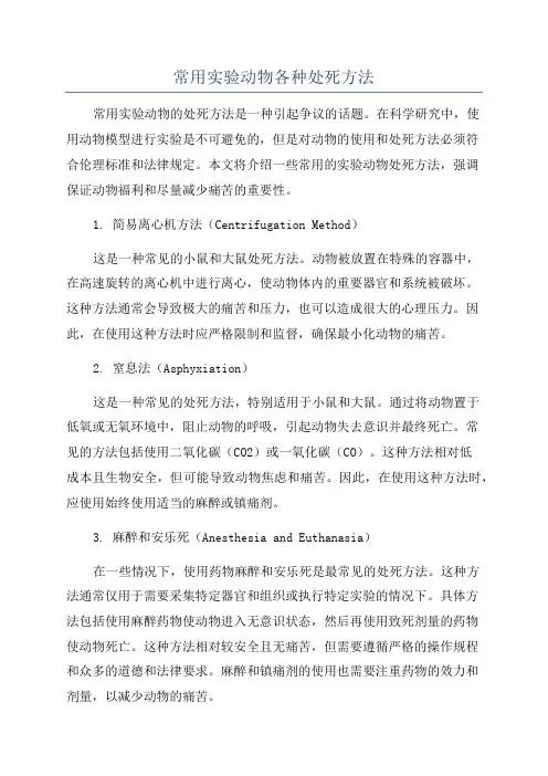 常用实验动物各种处死方法