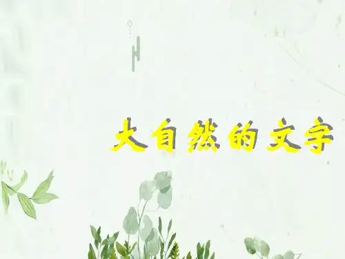 《大自然的文字》PPT课件 图文
