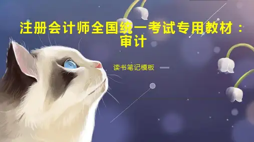 《注册会计师全国统一考试专用教材：审计》读书笔记模板