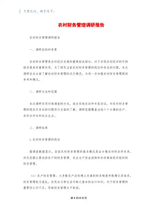 农村财务管理调研报告