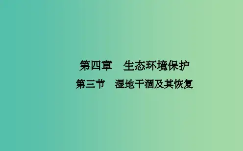 高中地理 第四章 第三节 湿地干涸及其恢复课件 新人教版选修6