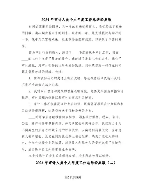 2024年审计人员个人年度工作总结经典版（3篇）