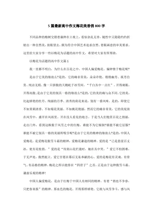 5篇最新高中作文梅花美香俏800字