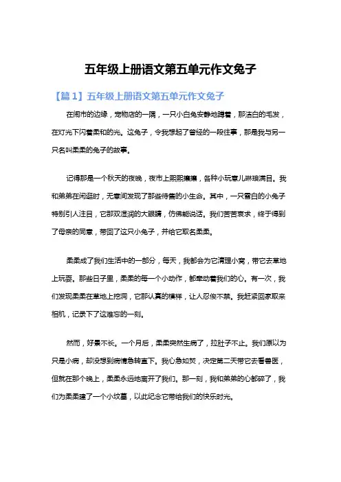 五年级上册语文第五单元作文兔子