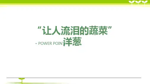 3-6岁《“让人流泪的蔬菜”洋葱》—美术课件