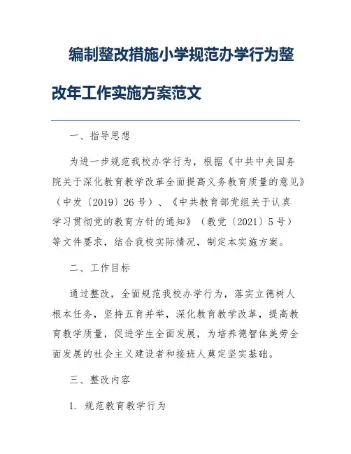 编制整改措施小学规范办学行为整改年工作实施方案范文