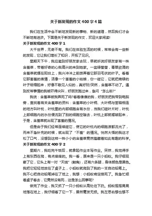 关于新发现的作文400字4篇