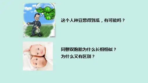 遗传和变异现象ppt课件