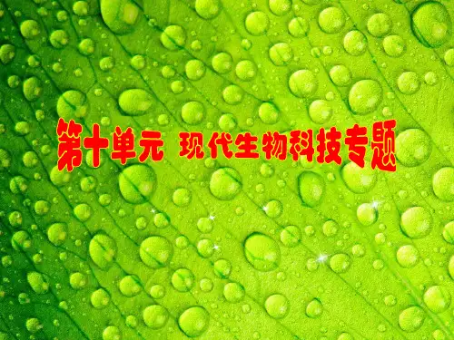 第十单元 37讲 细胞工程