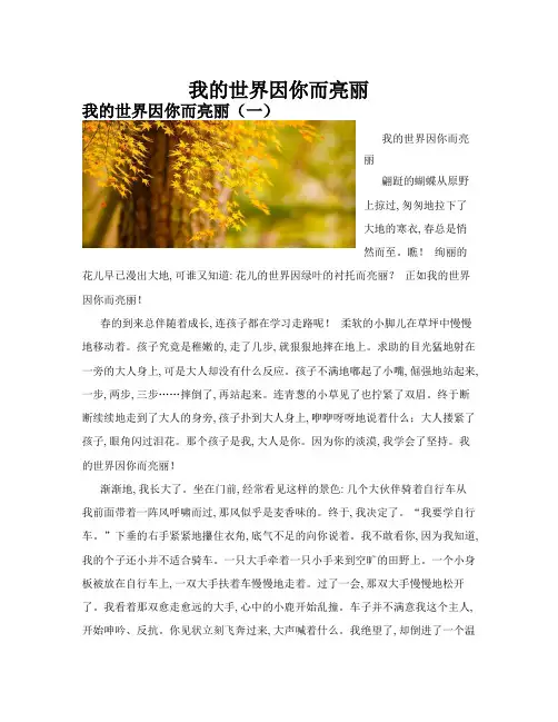 我的世界因你而亮丽(共10篇)