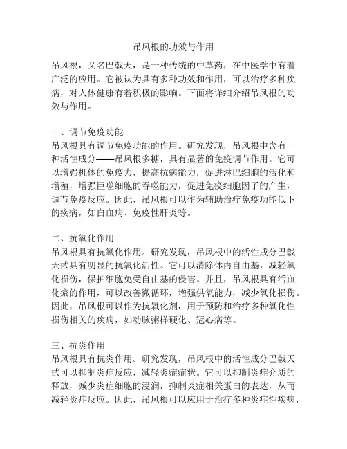 吊风根的功效与作用
