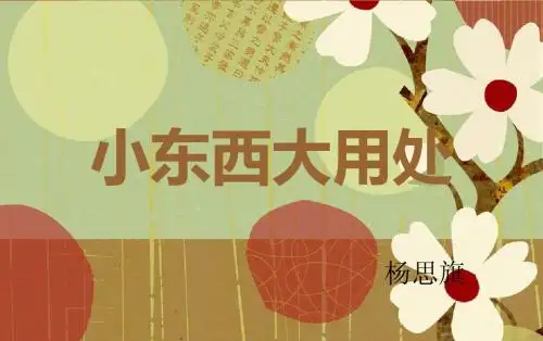 五下综合性学习《小东西大用处》 (1)