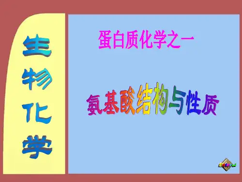 氨基酸结构与性质