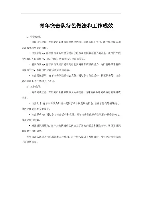 青年突击队特色做法和工作成效